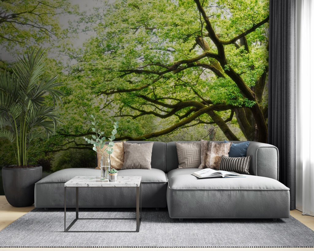 u55659pig53 1024x819 - Un albero con foglie verdi - tegory