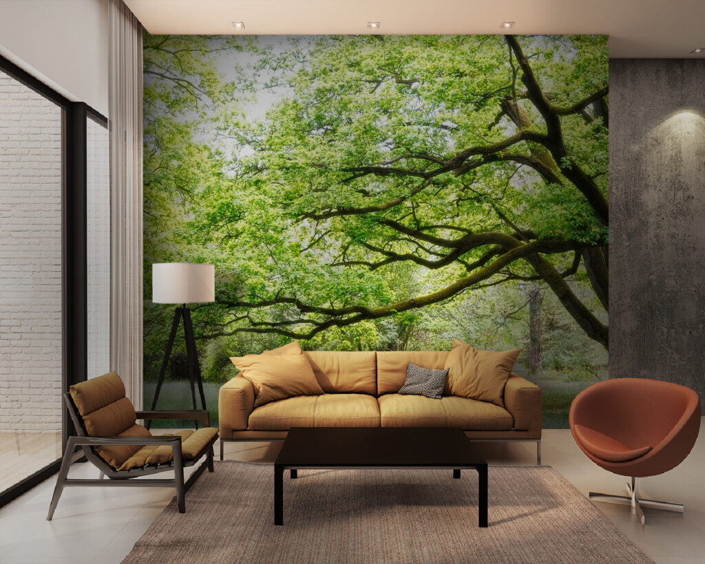 u55659pig28m 1024x819 - Un albero con foglie verdi - tegory