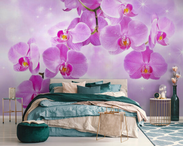 Delicate orchidee dalle tonalità tenui Delicate orchidee dalle tonalità tenui