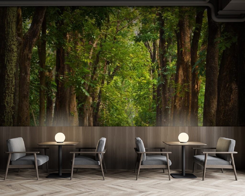 u55418piz137m 1024x819 - Sentiero con alberi laterali - tegory