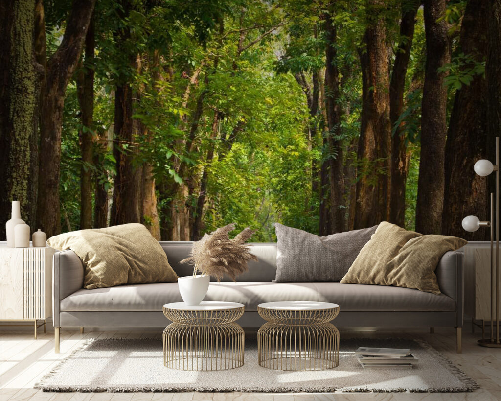 u55418pig9 1024x819 - Sentiero con alberi laterali - tegory