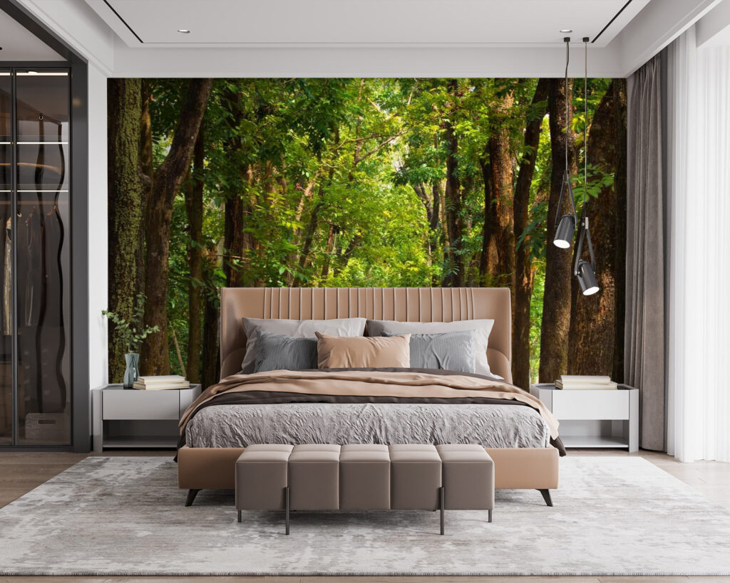 u55418pib115 1024x819 - Sentiero con alberi laterali - tegory