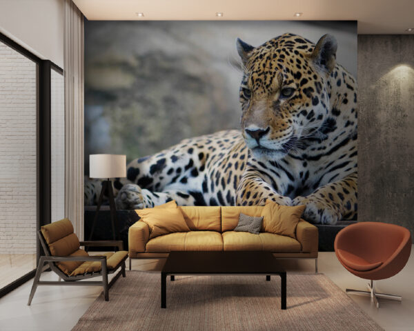 Leopardo sdraiato su una superficie di legno Leopardo sdraiato su una superficie di legno
