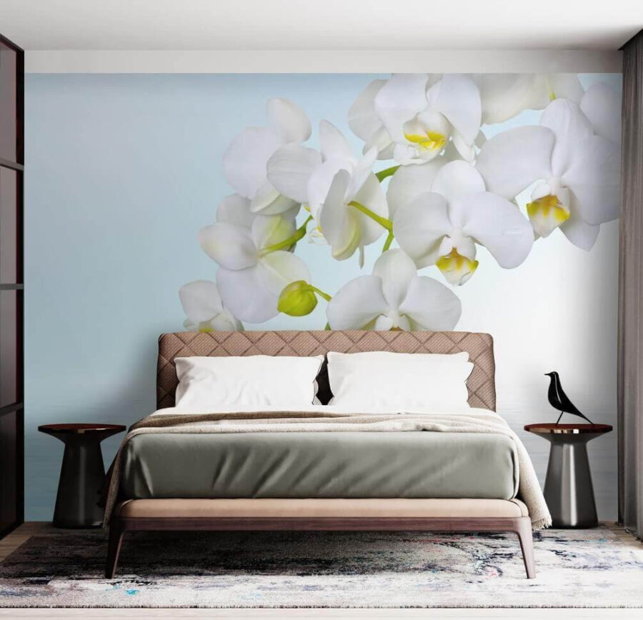 Orchidee bianche sull'acqua