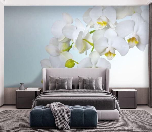 Orchidee bianche sull'acqua Orchidee bianche sull'acqua
