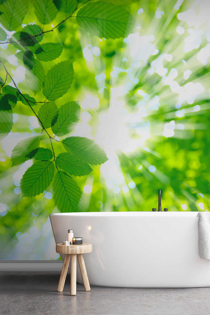 Sun shining through leaves