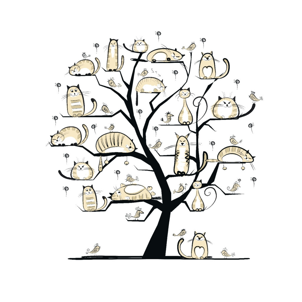 Albero con gatti sopra Albero con gatti sopra