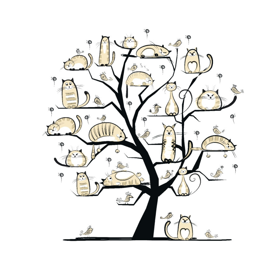Albero con gatti sopra Albero con gatti sopra