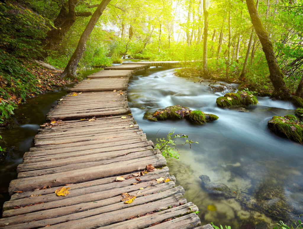Ponte di legno su un fiume Ponte di legno su un fiume