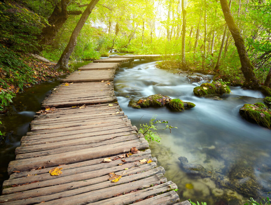 Ponte di legno su un fiume Ponte di legno su un fiume
