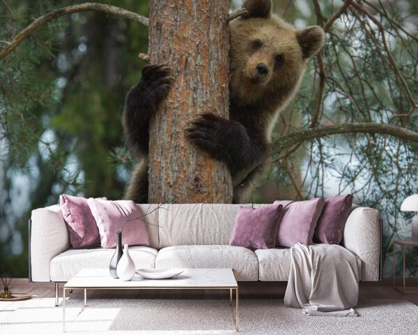 Orso che si arrampica su un albero Orso che si arrampica su un albero
