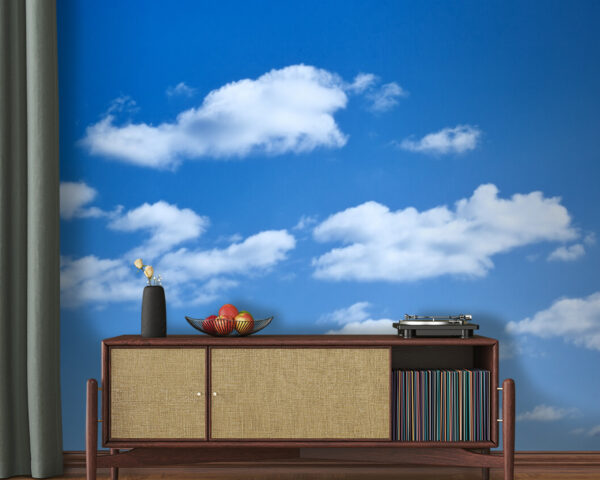 u53887pig20 600x480 - Cielo blu con nuvole - tegory