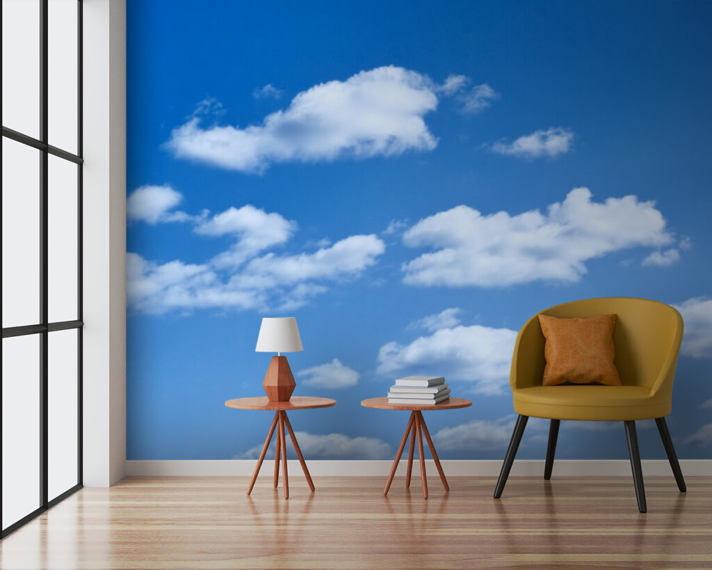 u53887pig3 1024x819 - Cielo blu con nuvole - tegory