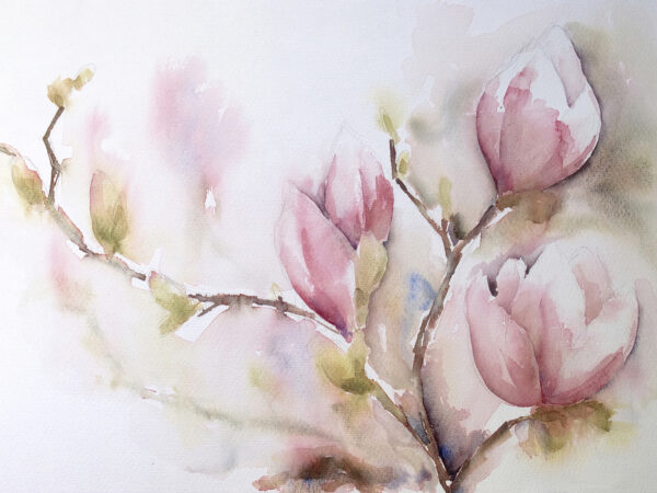 Acquerello di fiori rosa Acquerello di fiori rosa