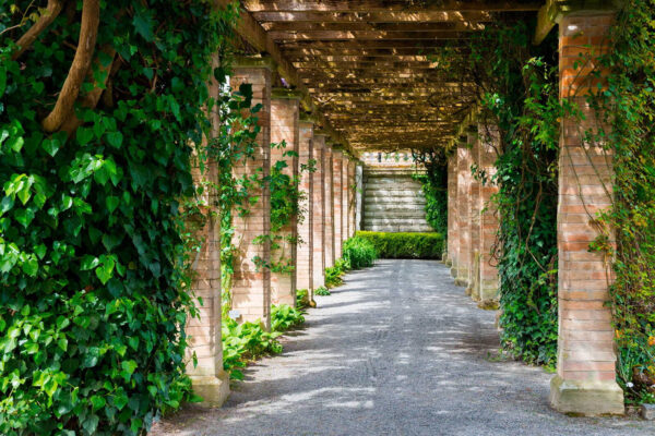 Passerella con pilastri in pietra e rampicanti Passerella con pilastri in pietra e rampicanti