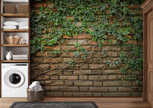Un muro di mattoni su cui cresce l'edera Un muro di mattoni su cui cresce l'edera