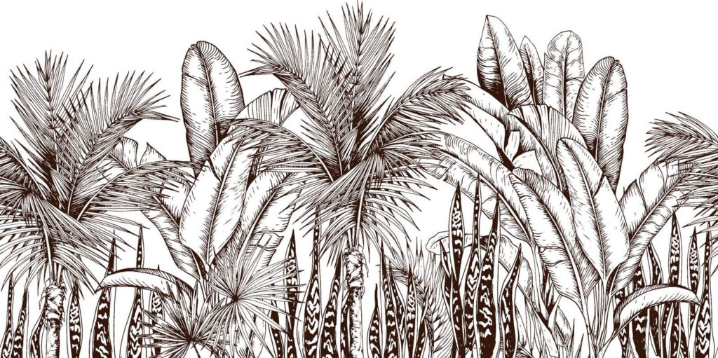 Gruppo di palme Gruppo di palme