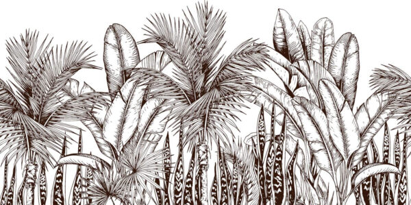Gruppo di palme Gruppo di palme