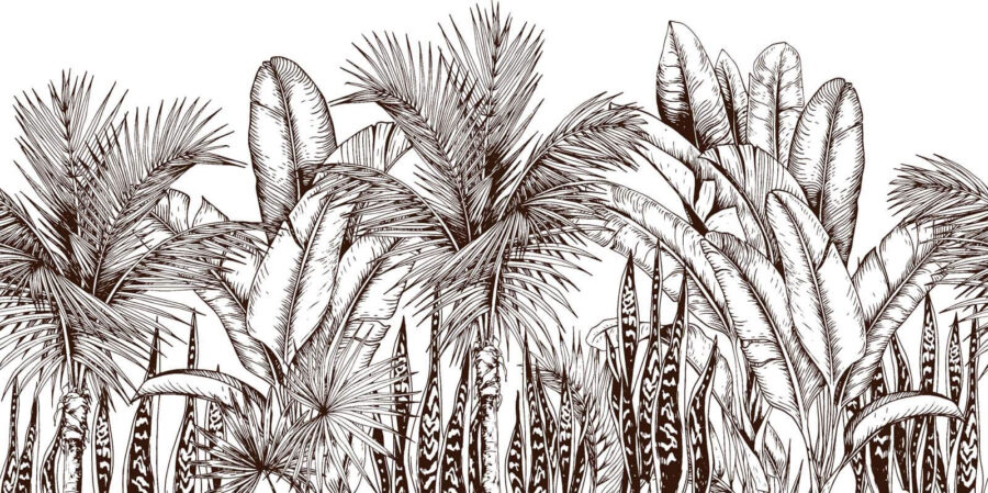 Carta da parati Gruppo di palme - immagine 2