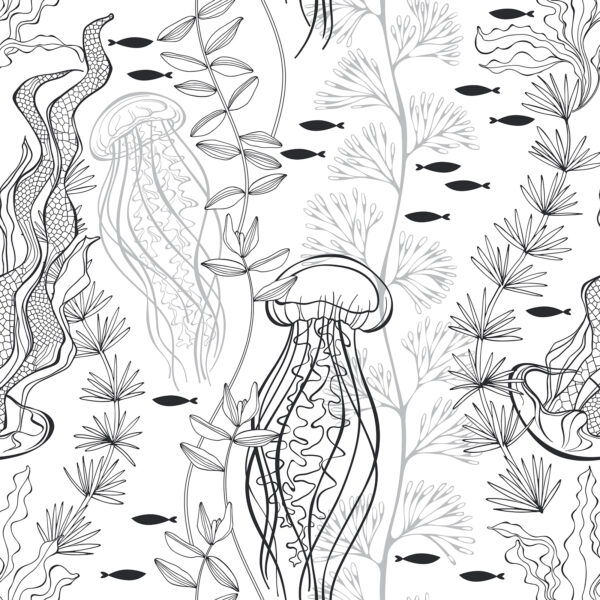 Schema di creature marine Schema di creature marine