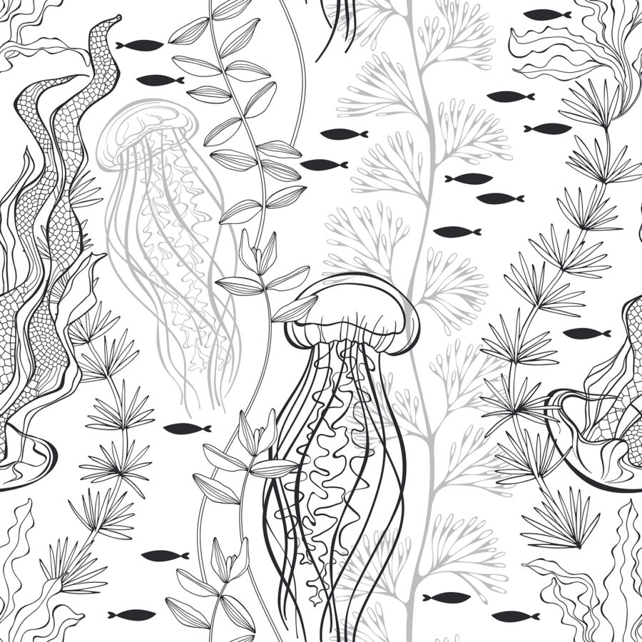 Schema di creature marine