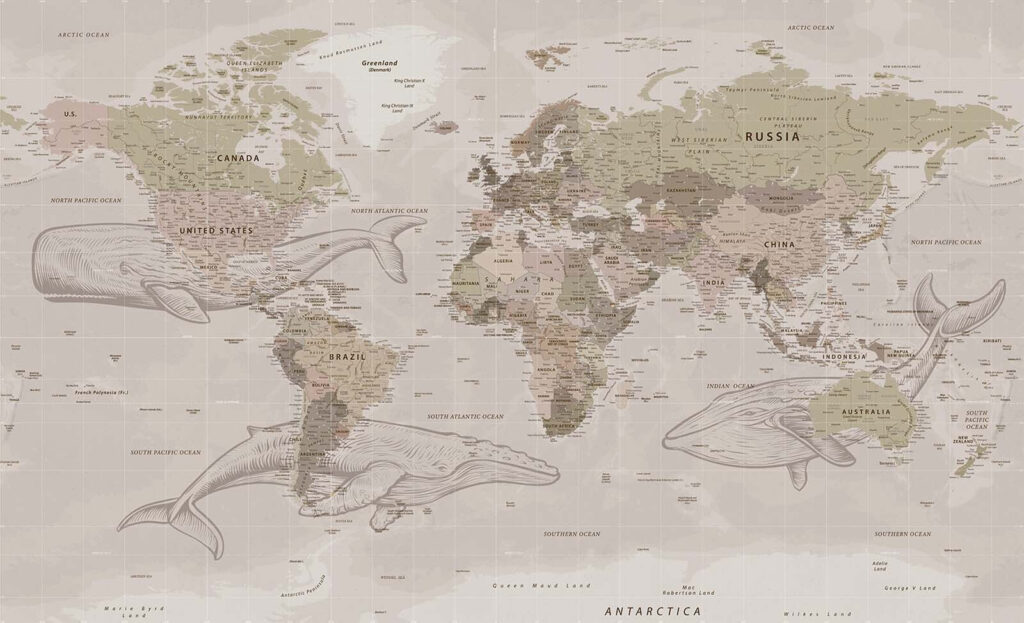 Mappa del mondo con le balene Mappa del mondo con le balene