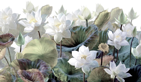 Gruppo di fiori bianchi e foglie verdi Gruppo di fiori bianchi e foglie verdi