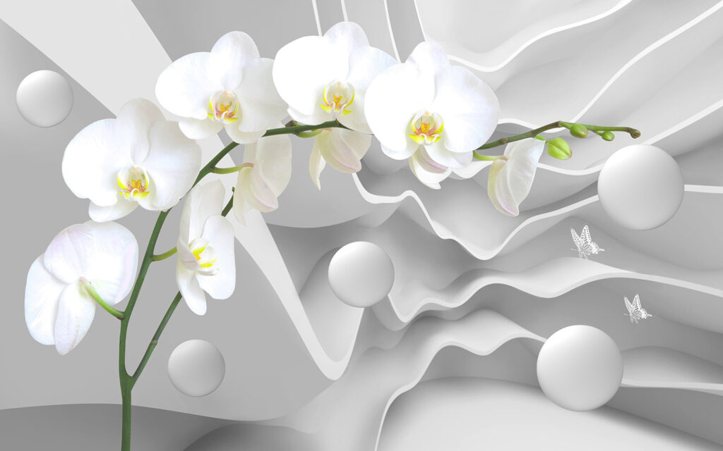 Orchidee bianche e palline bianche Orchidee bianche e palline bianche