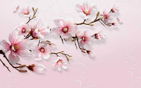 Delicati fiori su sfondo rosa tenue. Delicati fiori su sfondo rosa tenue.
