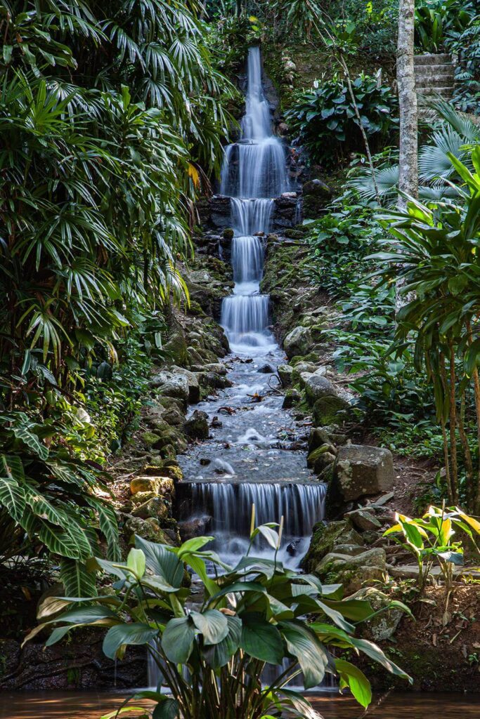 Cascata nella giungla Cascata nella giungla
