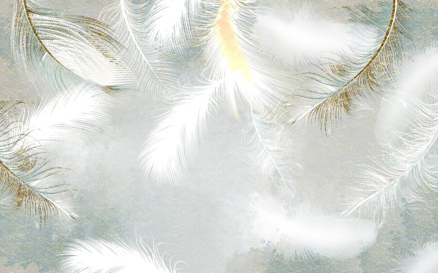 Piume bianche nel cielo