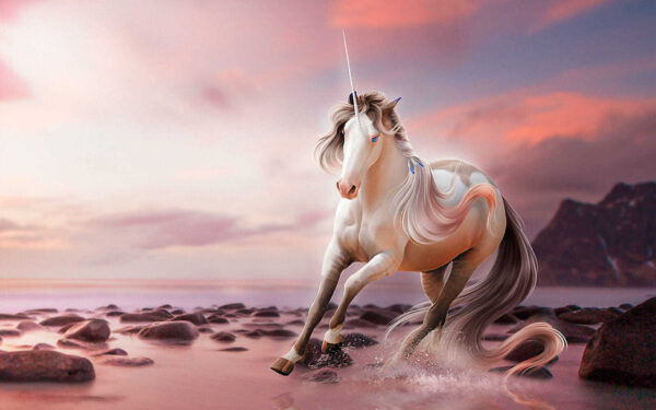 Unicorno che corre sull'acqua Unicorno che corre sull'acqua