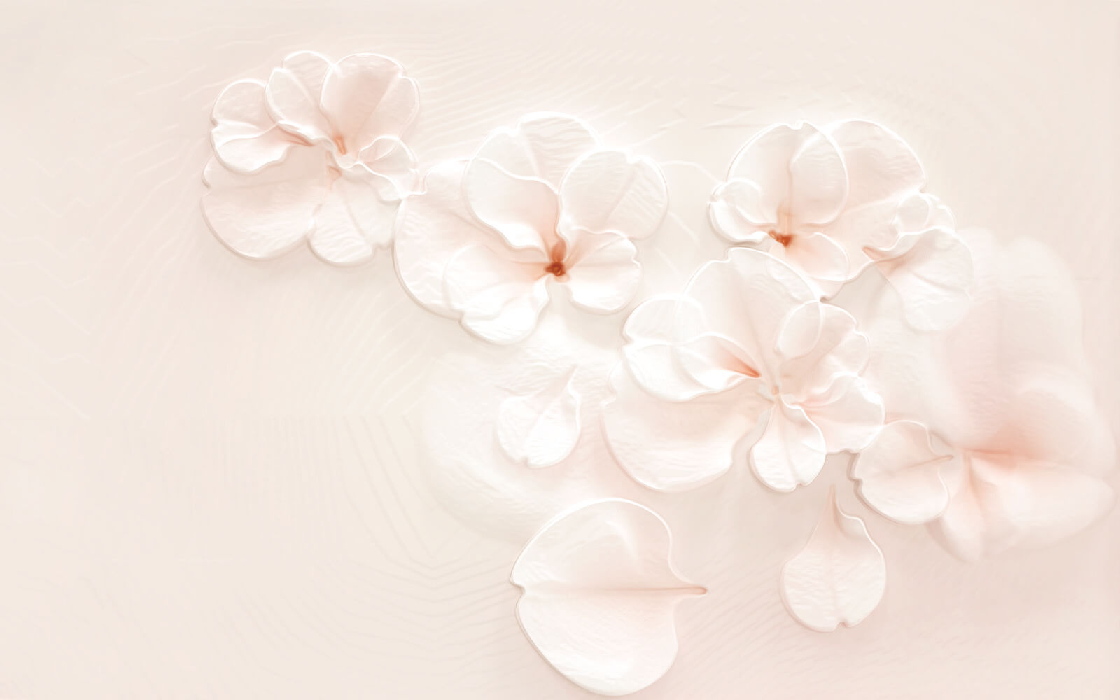 Gruppo di fiori bianchi u37030p - Gruppo di fiori bianchi - tegory