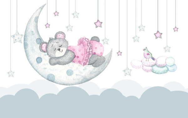 Orsetto che dorme sulla luna Orsetto che dorme sulla luna