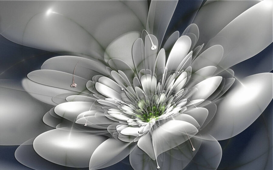Fiore bianco con centro verde