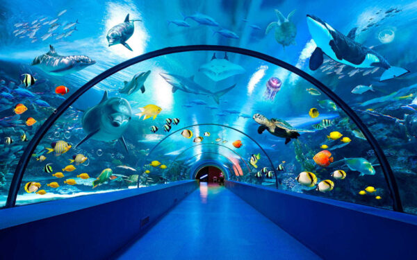 Tunnel con pesci e animali Tunnel con pesci e animali