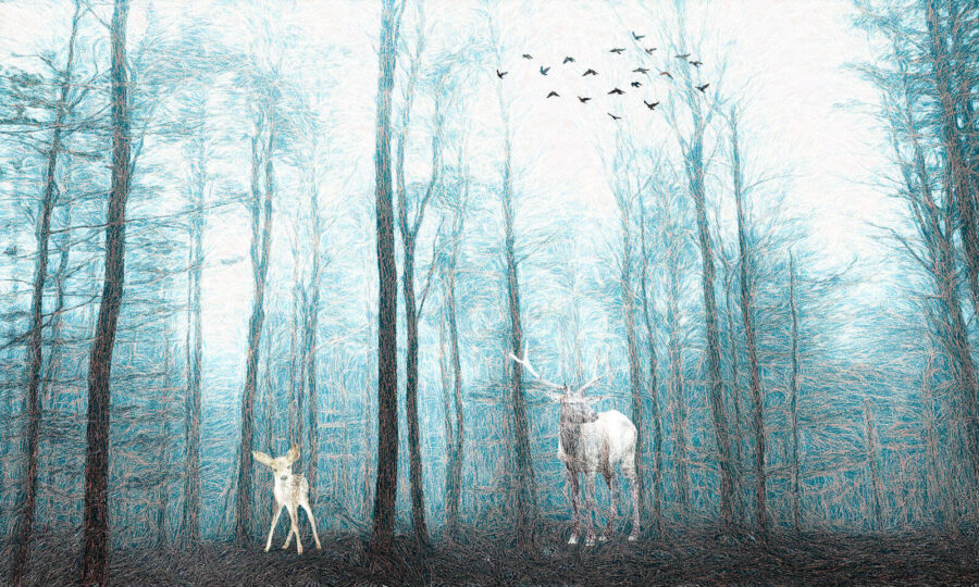 Cervi nel bosco