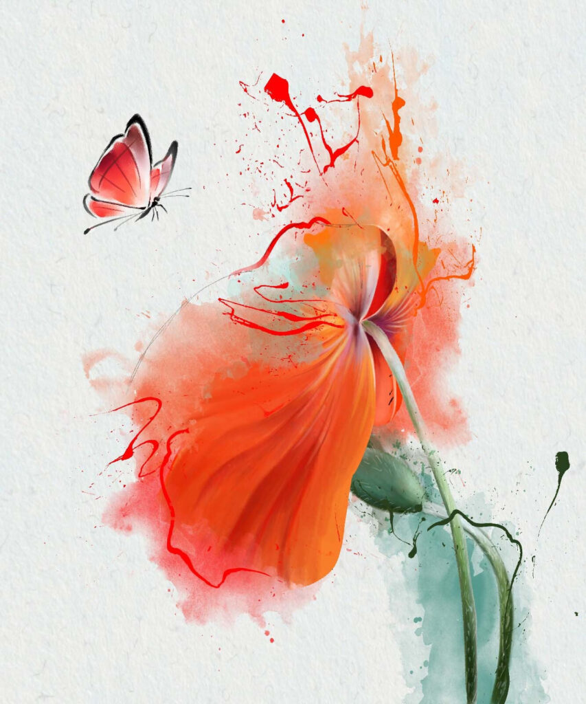 Farfalla su un fiore Farfalla su un fiore