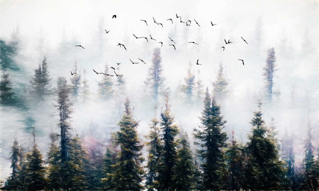 Uccelli che volano nel cielo sopra gli alberi Uccelli che volano nel cielo sopra gli alberi