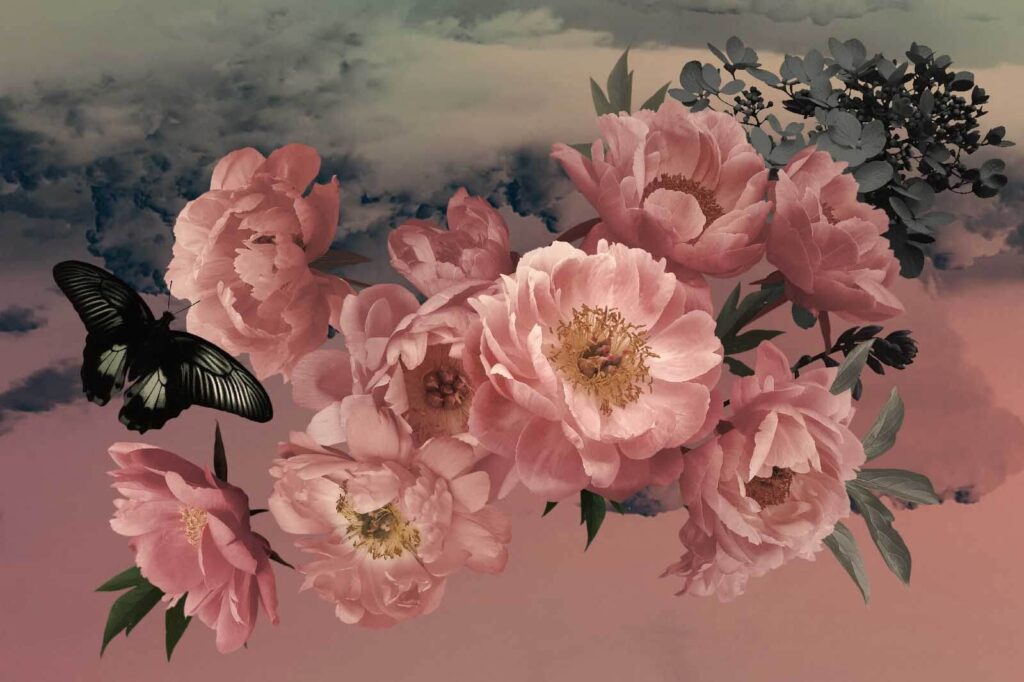 Farfalla in volo su un mazzo di fiori rosa Farfalla in volo su un mazzo di fiori rosa