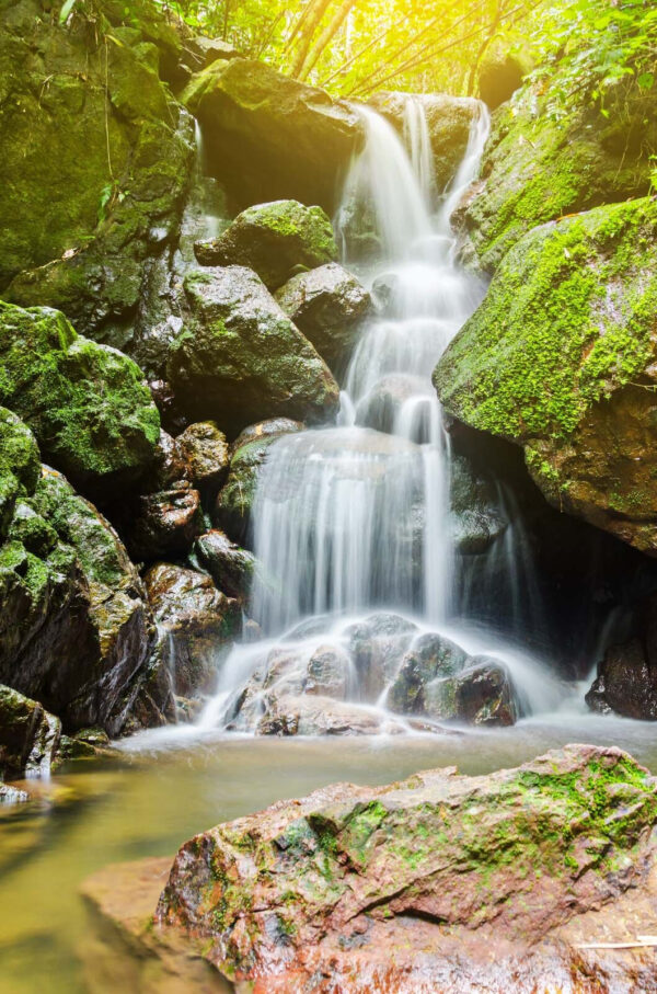 Cascata su rocce con muschio Cascata su rocce con muschio