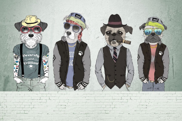 Gruppo di cani che indossano cappelli e occhiali da sole Gruppo di cani che indossano cappelli e occhiali da sole
