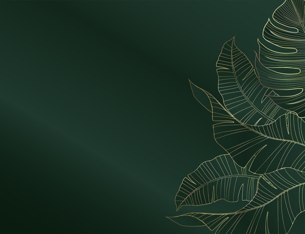 Elegant foliage on dark emerald backdrop