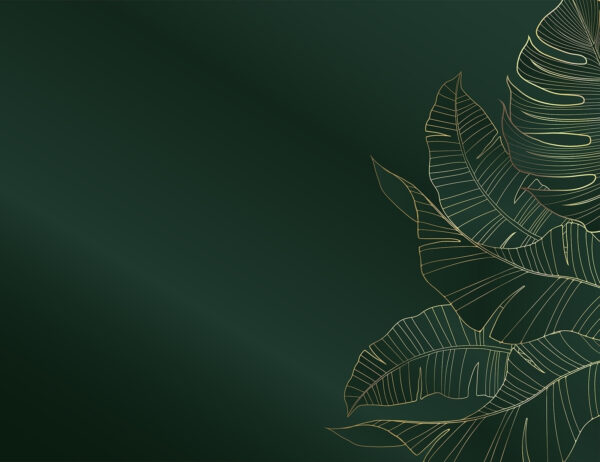 Elegant foliage on dark emerald backdrop