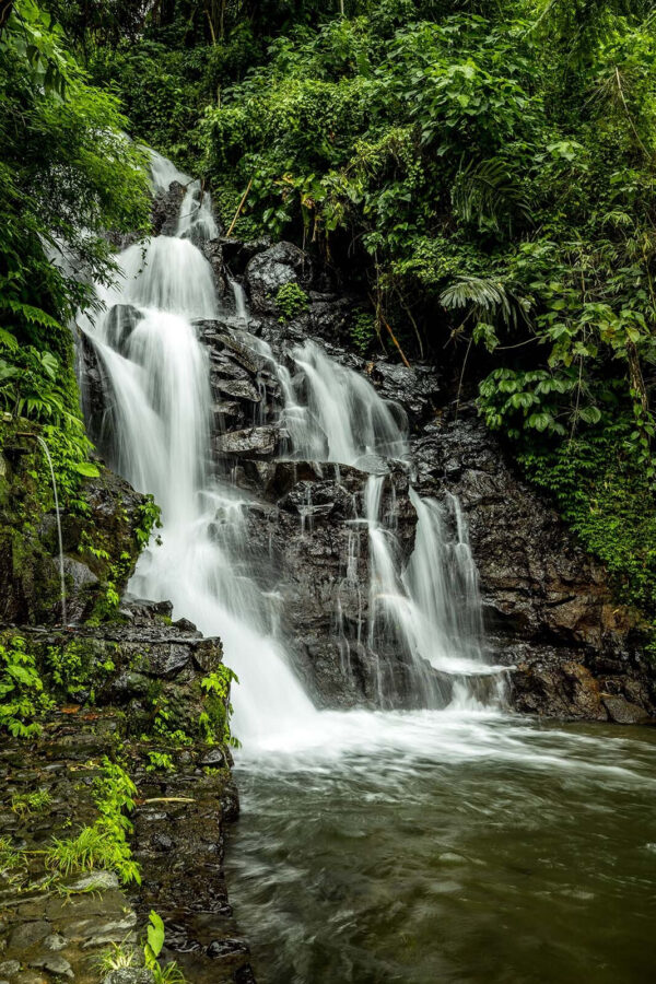 Cascata in mezzo alla foresta Cascata in mezzo alla foresta