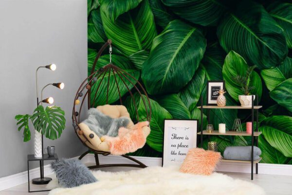 Carta da parati Carta da parati Gruppo di foglie verdi (COD: u27053)