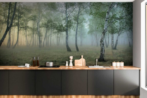 Foresta nebbiosa con alberi Foresta nebbiosa con alberi