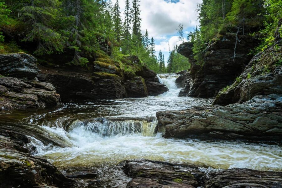 Fiume con rocce e alberi Fiume con rocce e alberi