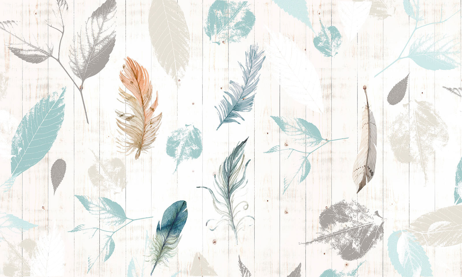 u21570p - Gruppo di piume su una superficie di legno - tegory