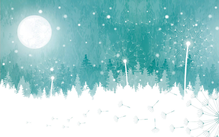 La luna su una foresta innevata La luna su una foresta innevata